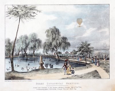 Jardines Zoológicos de Surry. Pub. 1836 de English School
